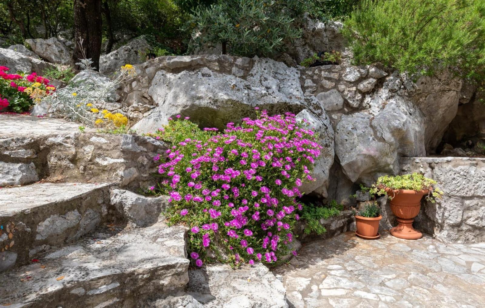 Vila Rural House Janjic Ploce  Exteriér fotografie